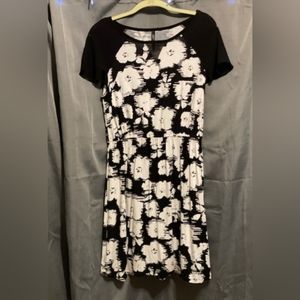 Black/white sheer v-neck and sleeve